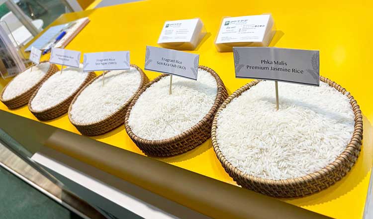 Cambodian rice seeks markets in Africa, Middle East